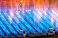 Elburton gas fired boilers